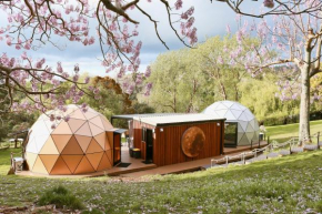 Stellar Glamping Auckland